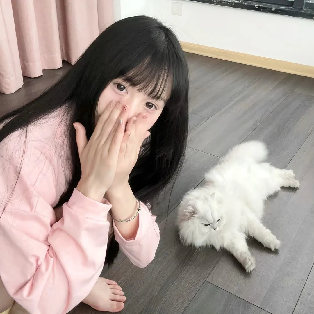东京24区